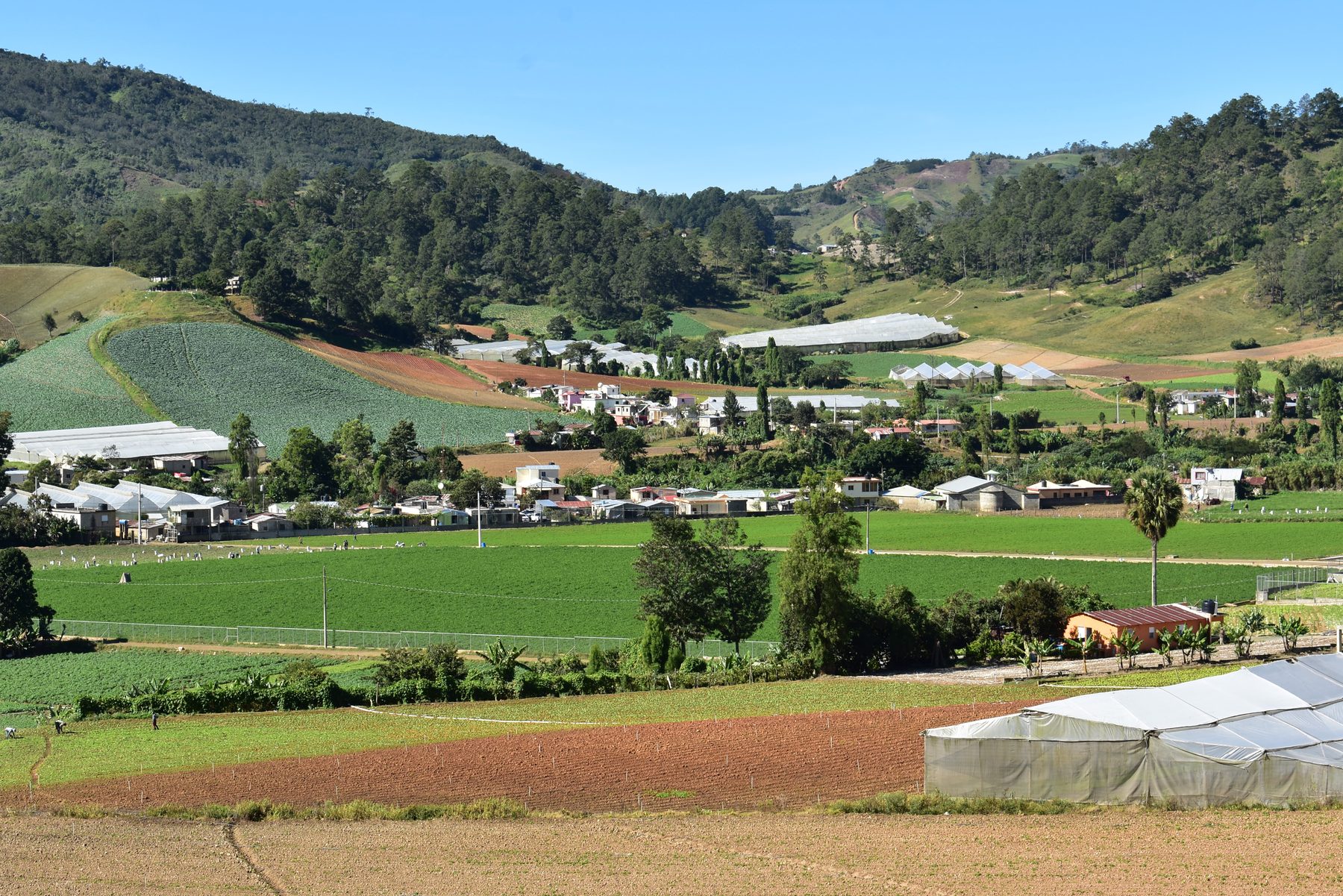 El valle de camino a Jarabacoa